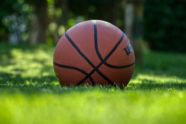Basketball im Grünen