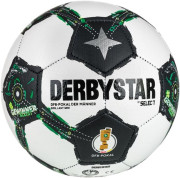 DERBYSTAR DFB-Pokal Brillant Mini v25 2025/2026 Fußball Gr. 1